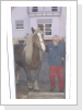 Besuch von Dojan 2002